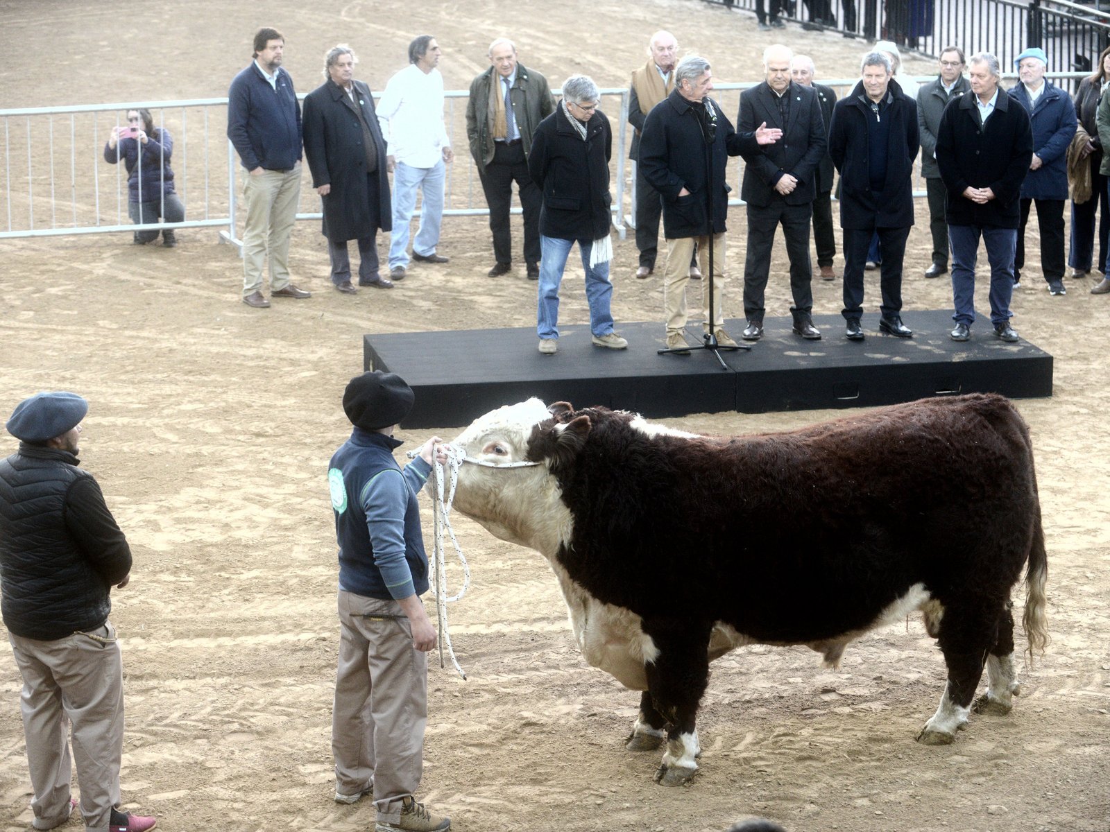 La llegada simbólica del primer gran ejemplar a la Exposición Rural La Exposición Rural de Palermo, un evento emblemátic... Descubre más sobre desarrollarán,...