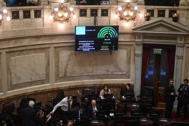 Sesión en el Senado. Foto: Federico López Claro.