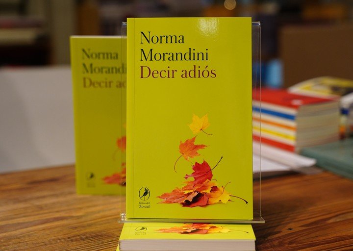 Norma Morandini presentó su libro en Dain Usina Cultural. Foto Marcelo Carroll.