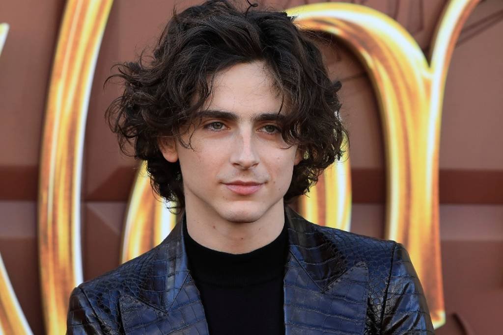 Timothée Chalamet Bombed His Audition For This Hit Horror Series