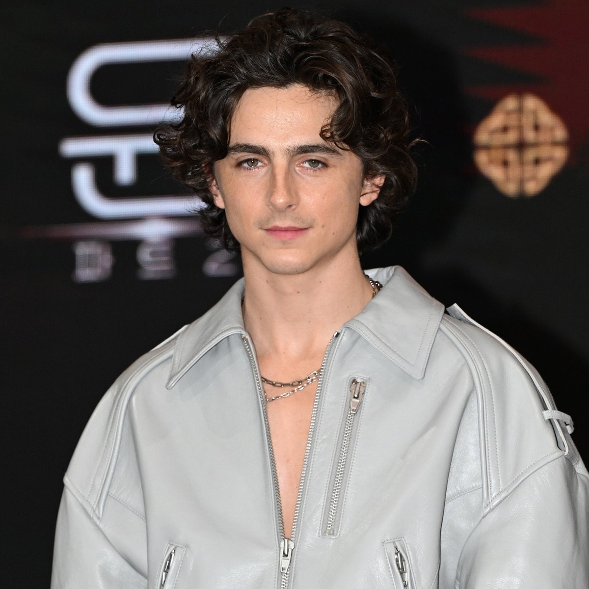 Timothée Chalamet Bombed His Audition For This Hit Horror Series
