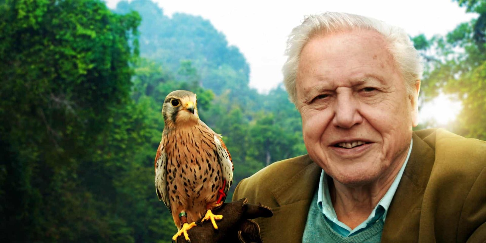 Mother-eating spiders ‘will chill parents to the bone’ in new David Attenborough series