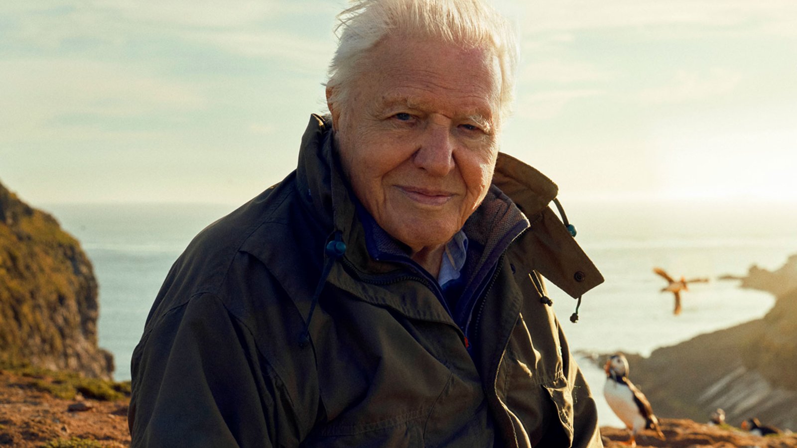 Mother-eating spiders ‘will chill parents to the bone’ in new David Attenborough series