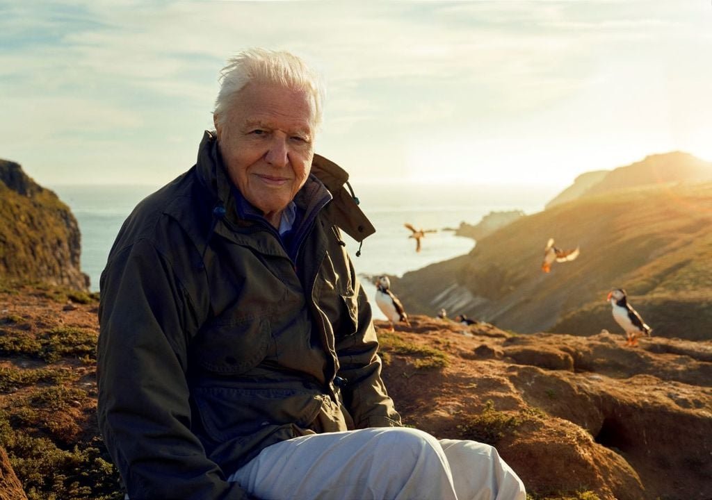 Mother-eating spiders ‘will chill parents to the bone’ in new David Attenborough series