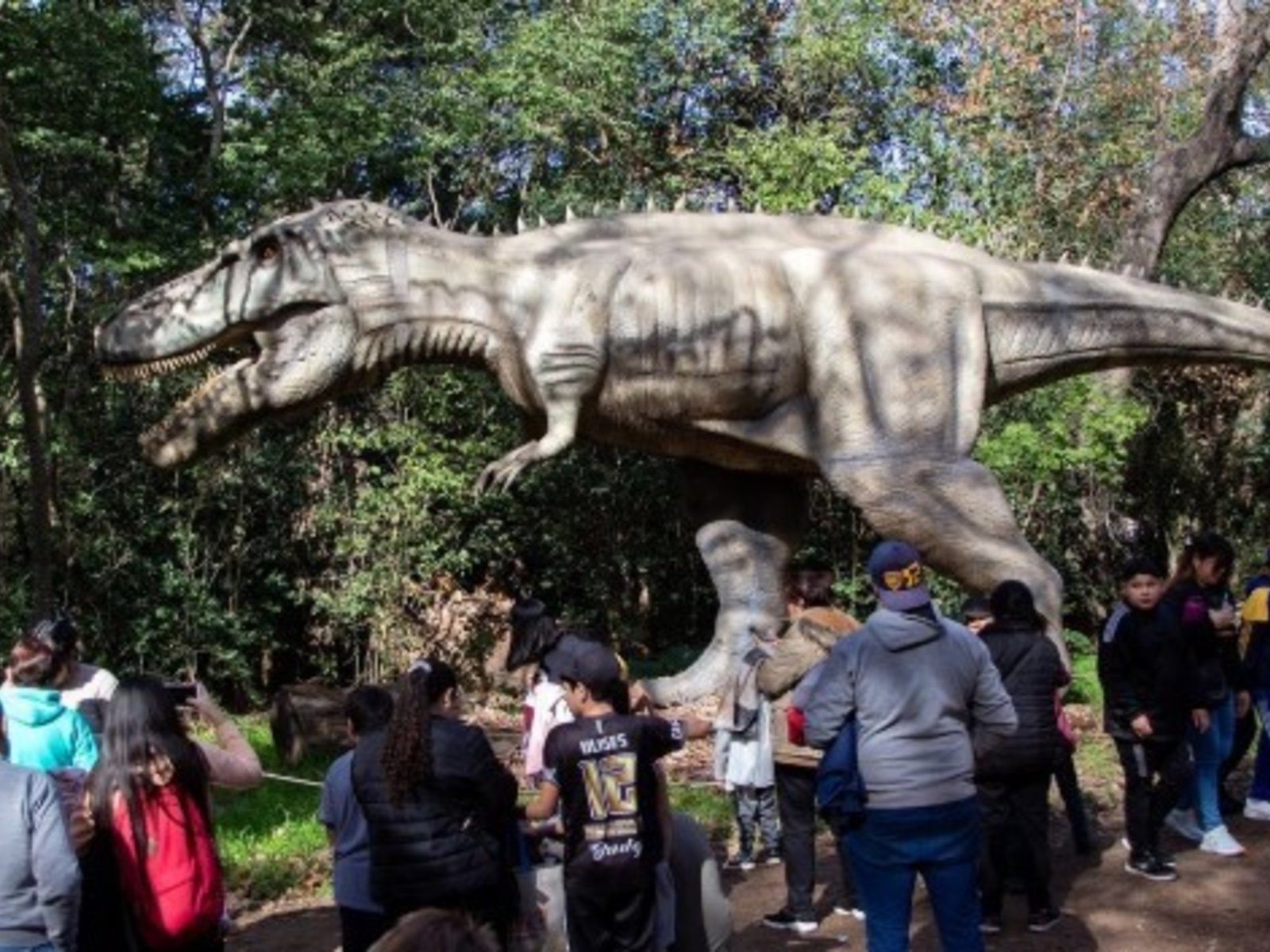 Un viaje al pasado: la experiencia dinosauriana que no te puedes perder Con la llegada de las vacaciones de invierno, su... Descubre más sobre recomienda, ex...