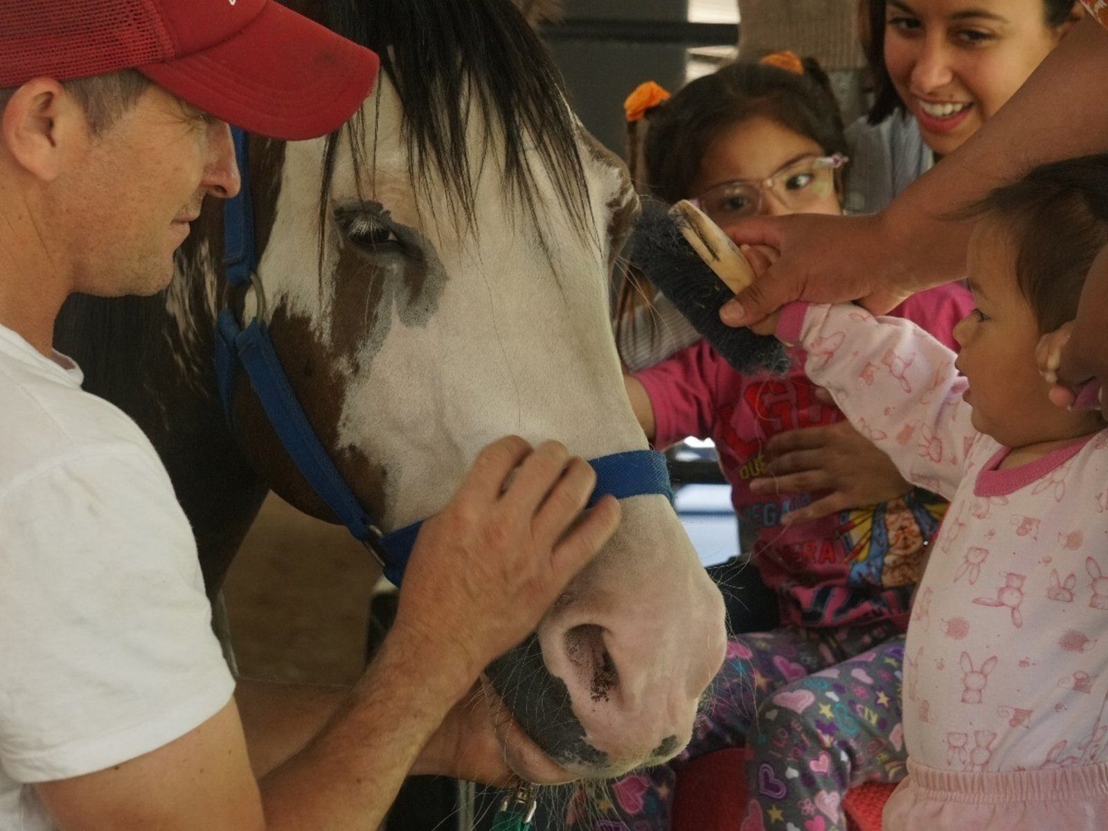 El poder curativo de los caballos en la rehabilitación de personas con discapacidad En el corazón de Pilar, un lugar esp... Descubre más sobre contacto, conv...