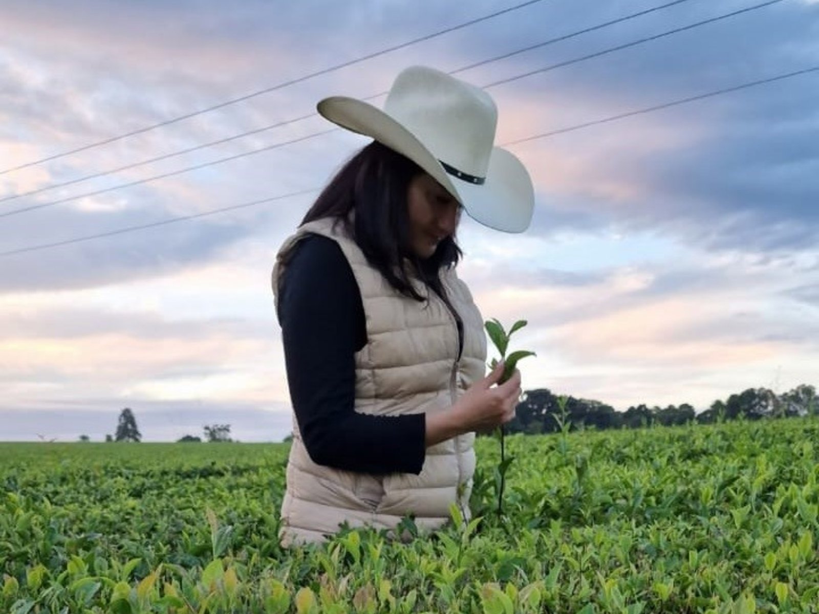  La travesía de una científica misionera hacia lo natural En un mundo donde lo artificial a menudo predomina, la his... Descubre más sobre hacia, símbolo...
