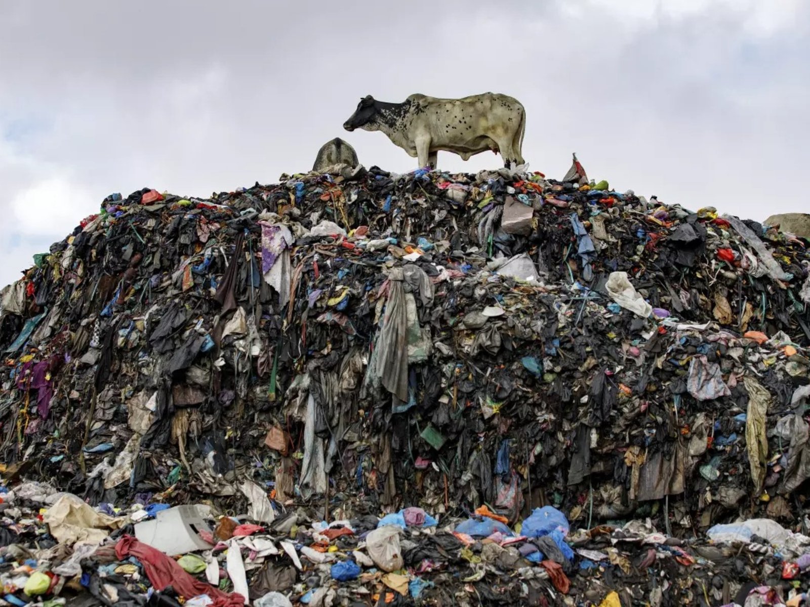 La montaña de ropa: un legado insostenible de la moda moderna La crisis de la ropa desechada se ha convertido en un eco ... Descubre más sobre sostenibilidad...