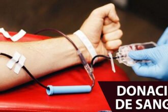 Imagen relacionada con En Posadas, se realizan 1.600 transfusiones mensuales, destacando la necesidad de donación de sangre.