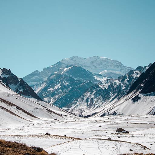 Imperdibles de Mendoza en vacaciones de invierno en Pablo, Bizón