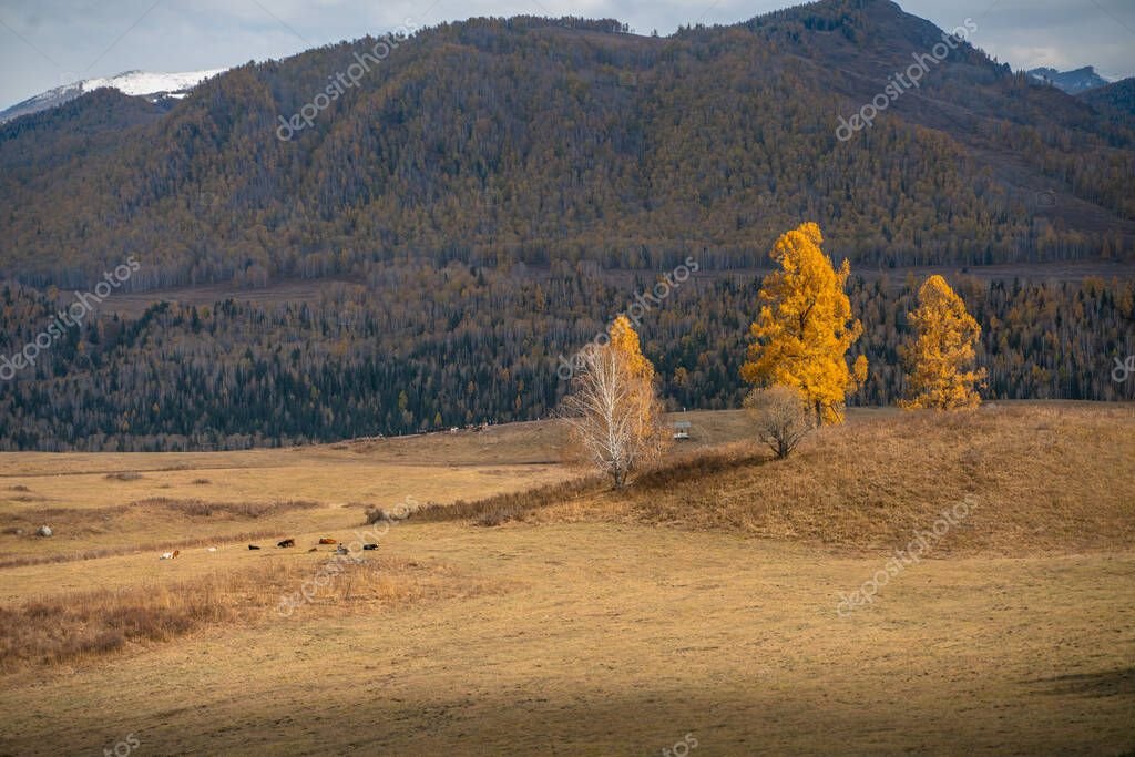 Un paseo por Chillar, un pueblo histórico que invita a buscar trufas en Cristian Sirouyan, Cristian