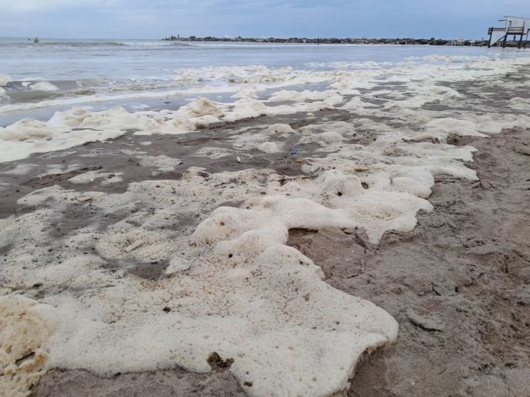 Imagen relacionada con Mar del Plata amaneció a 1°C el 18 de julio, sorprendiendo a los marplatenses con frío extremo.