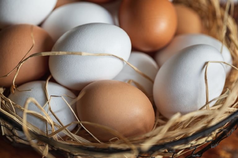 ¿Cómo se deben limpiar los huevos y dónde guardarlos? en El Cronista, Información General