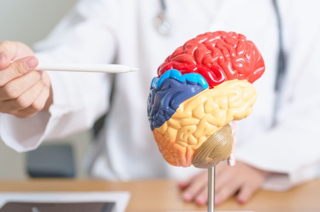 Cuidá tu cerebro en El Cronista, Información General