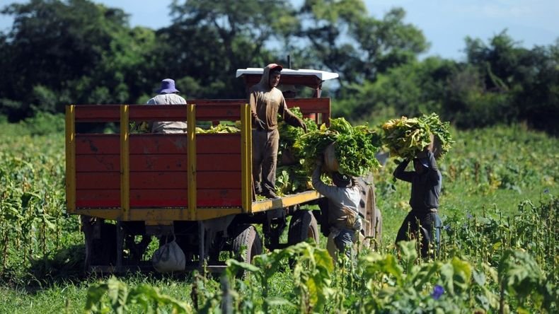 Imagen relacionada con UATRE pide prórroga del decreto que permite compatibilizar empleo rural con planes sociales.