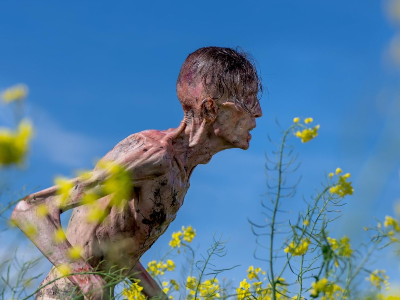 La fusión del arte literario y el terror cinematográfico La reciente película Exterminio: la evolución, dirigida por Dan... Descubre más sobre físico, ritmo,...