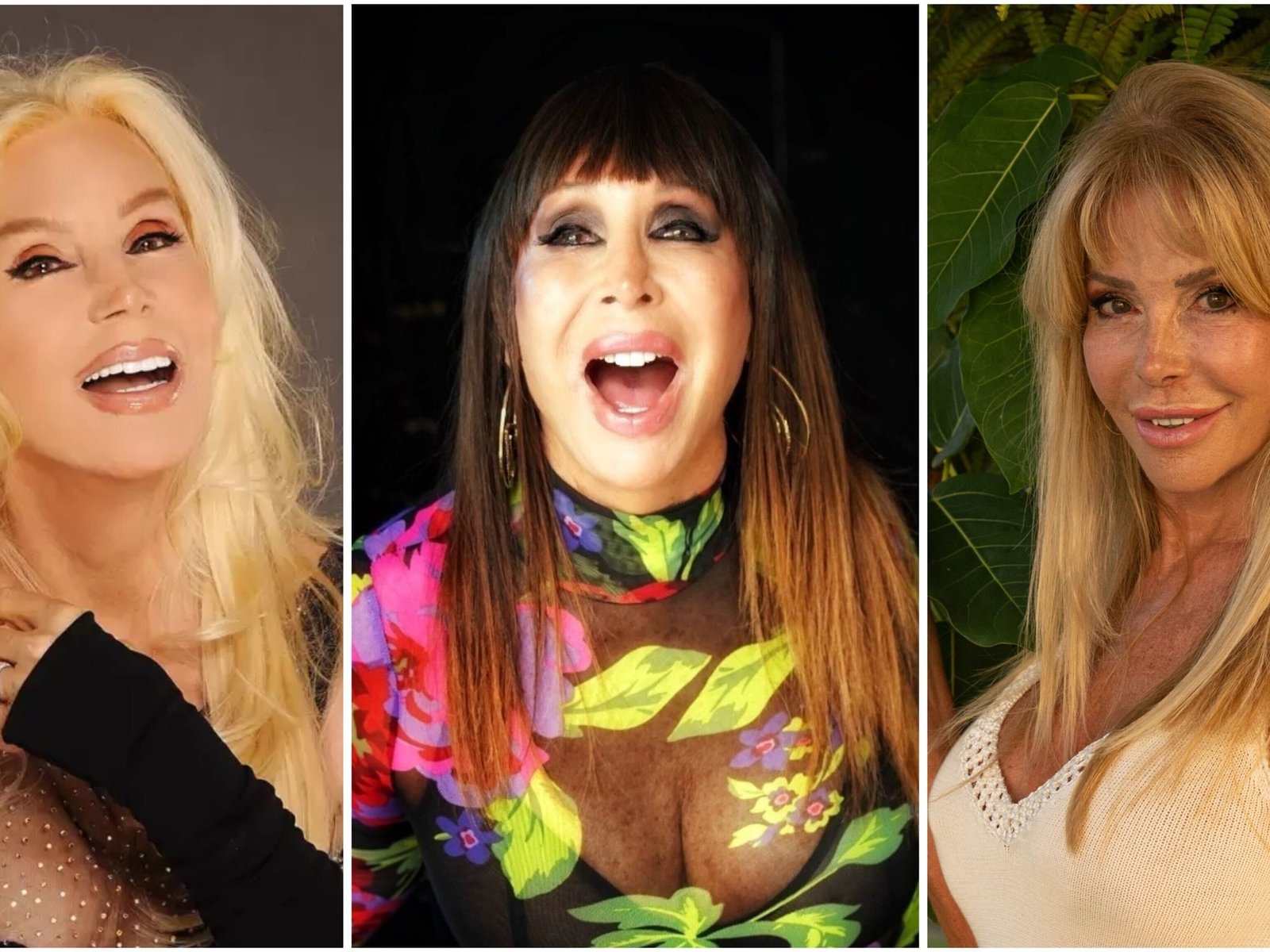 El reencuentro de viejas rencillas en el mundo del espectáculo argentino En un nuevo capítulo de la farándula argentina,... Descubre más sobre inteligencia a...