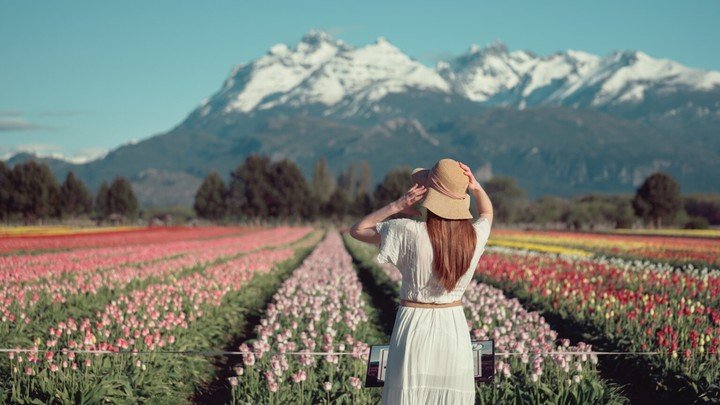 Trevelín es el pueblo galés de la Patagonia que combina té, montañas y tulipanes. Foto: trevelin.tur.ar.