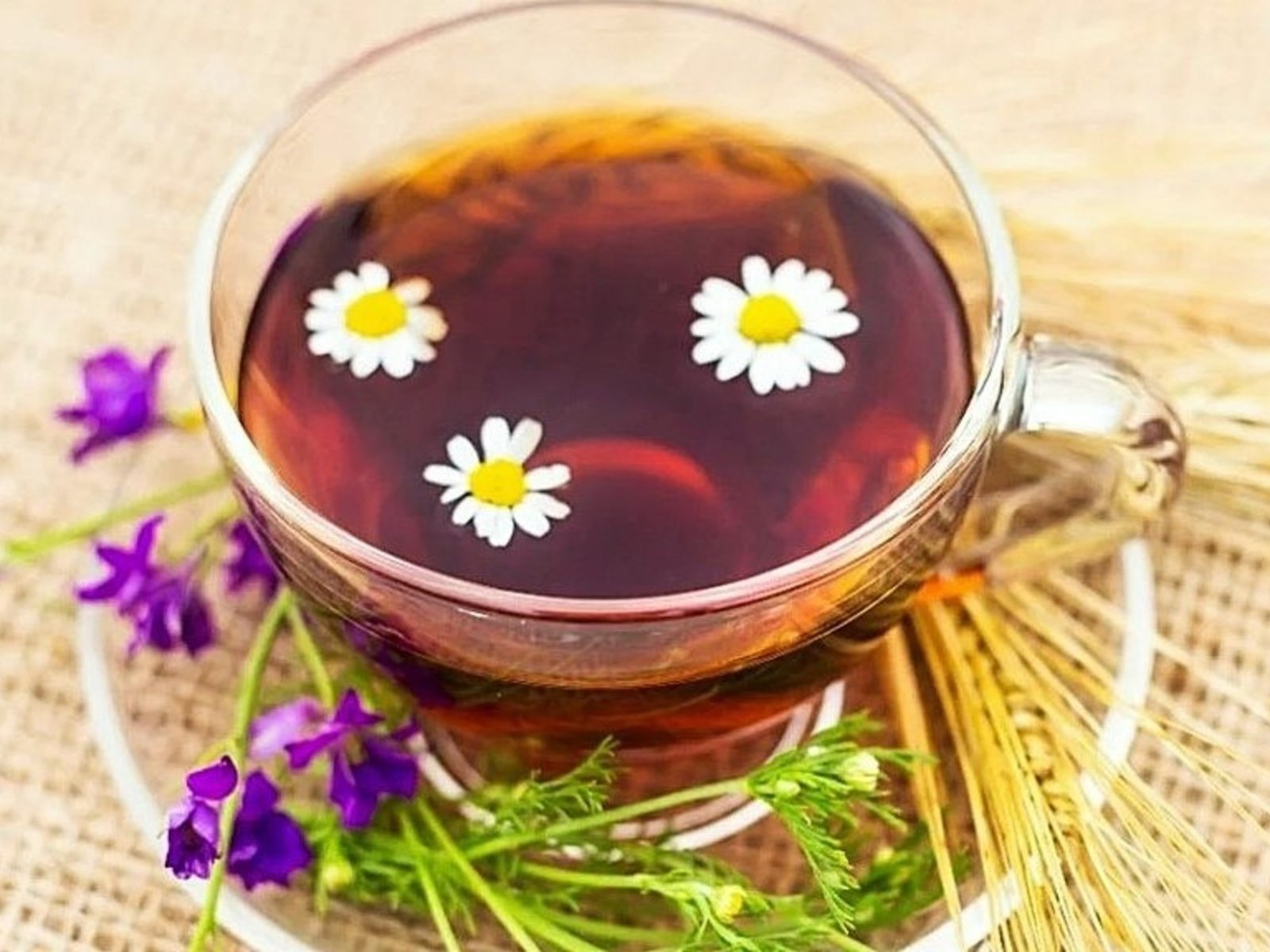 La manzanilla: un legado herbal en la salud cotidiana En el vasto universo de la medicina natural, una planta ha destaca... Descubre más sobre accesible, exc...