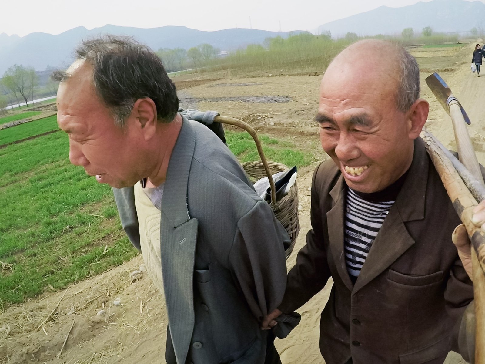La fuerza de la amistad en la reforestación: un viaje inspirador en el noreste de China En un rincón olvidado del norest... Descubre más sobre alberga, costó...