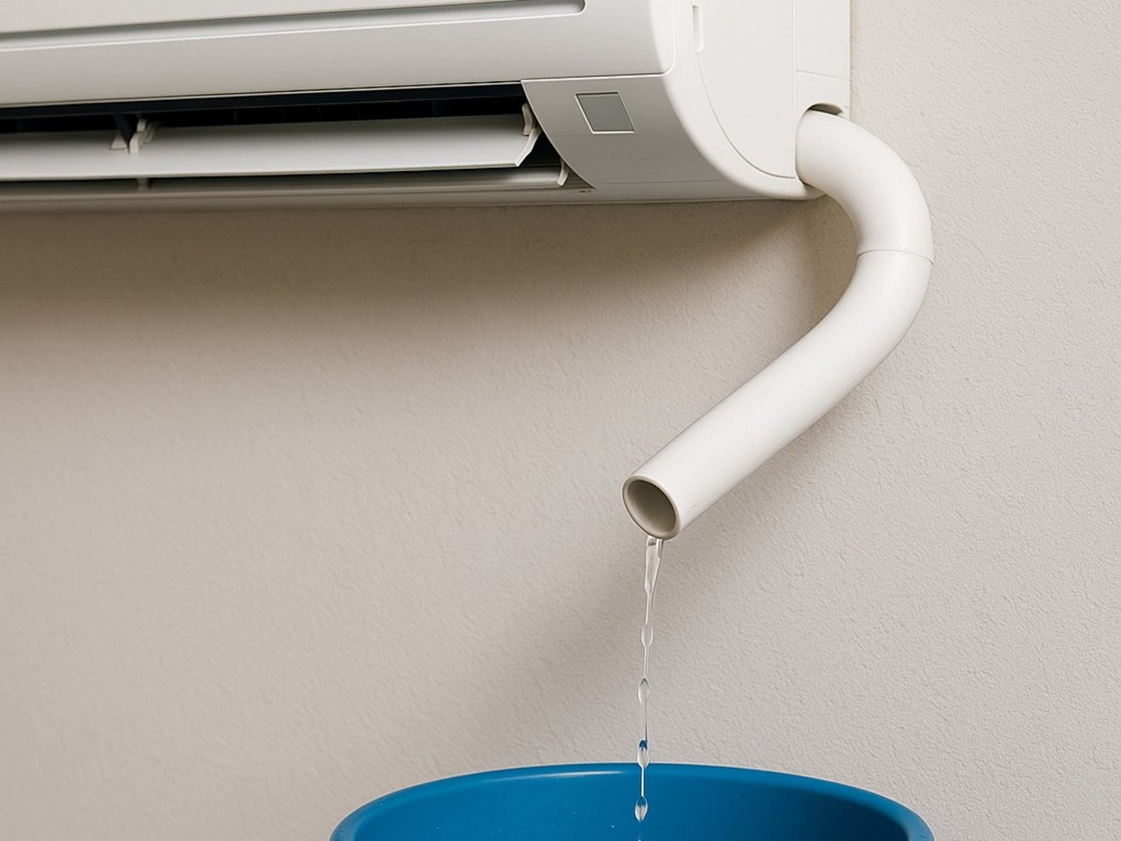 El agua no deseada que se convierte en un aliado para el jardín En medio del constante avance de la tecnología y la búsq... Descubre más sobre signos, futuro...