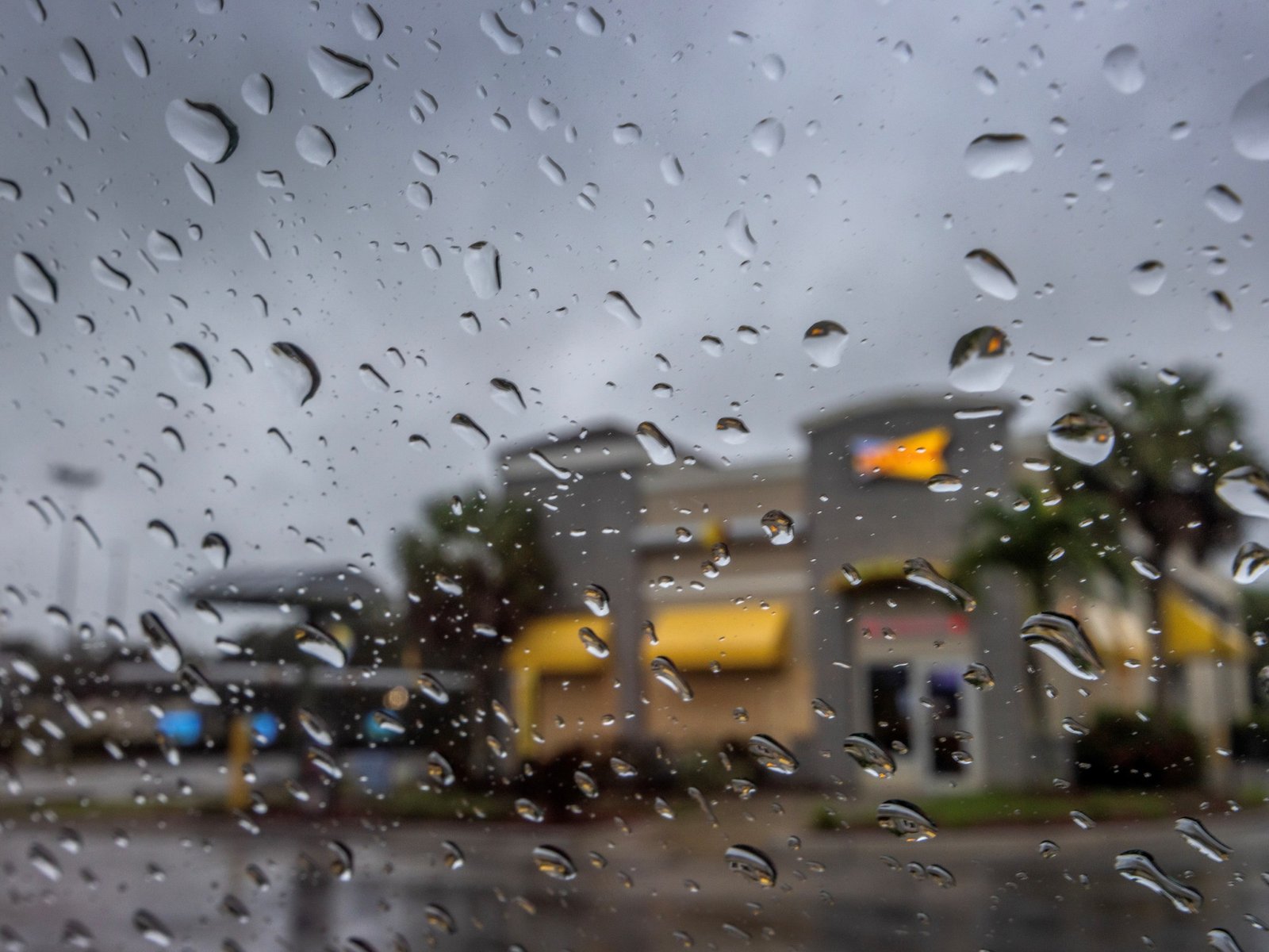 El aguacero inminente: un vistazo a las tormentas de agosto en la ciudad del sol Este 9 de agosto de 2025, los residente... Descubre más sobre tropical, desa...