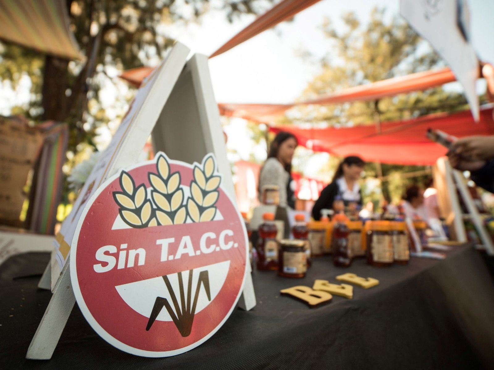 Harinas sin TACC. Más livianas y de fácil digestión.