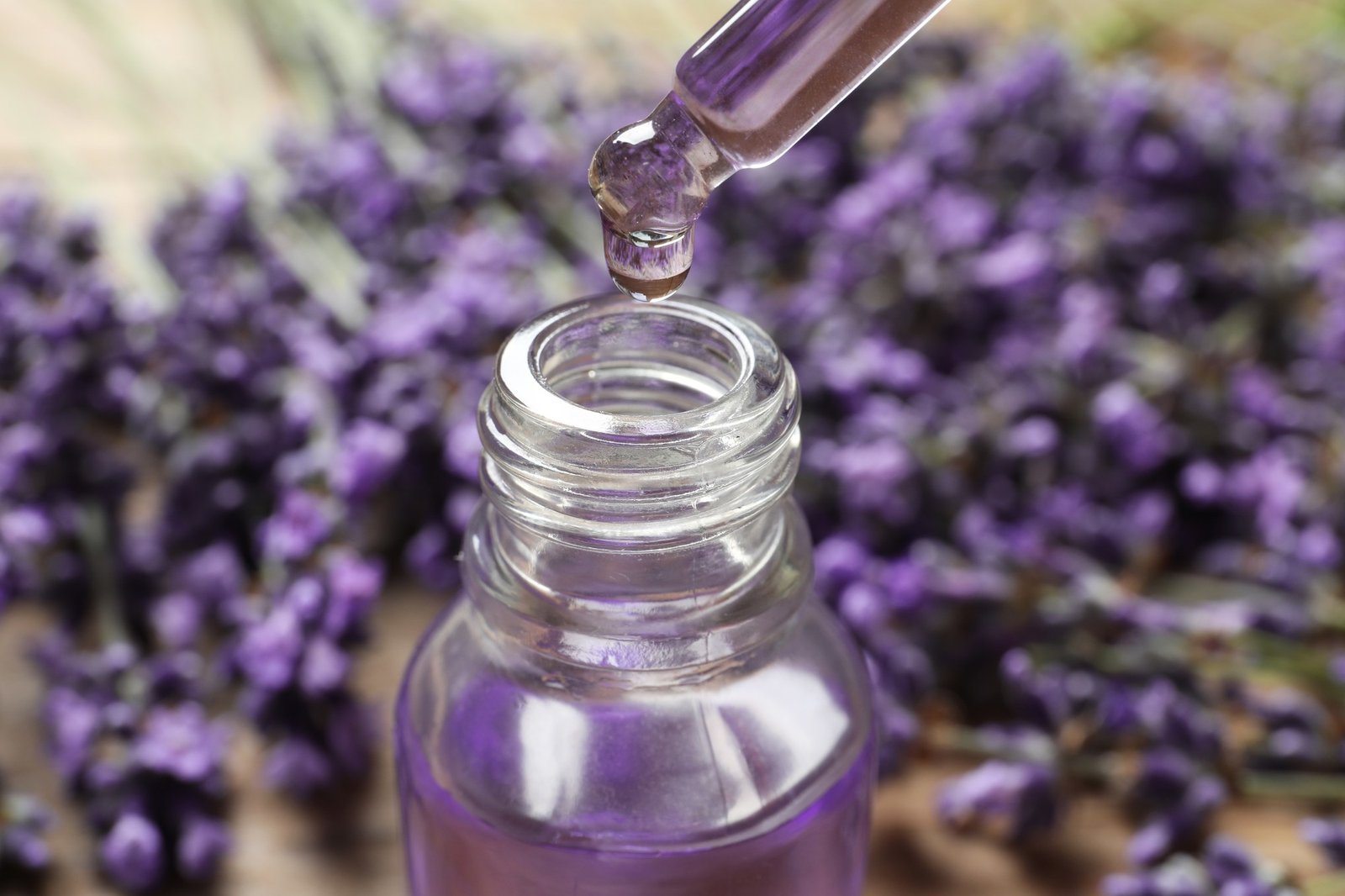 El aceite de lavanda es uno de los más valorados en el mundo de la aromaterapia. /Shutterstock