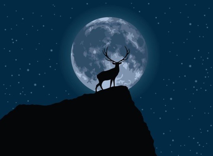 Cuándo ver la Luna llena en agosto. Foto: ilustración Shutterstock