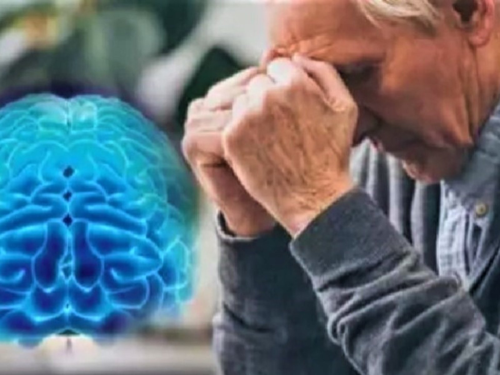 El sorprendente poder del kiwi en la salud cerebral En un mundo donde la salud mental se ha convertido en un tema crucia... Descubre más sobre combatir, cort...