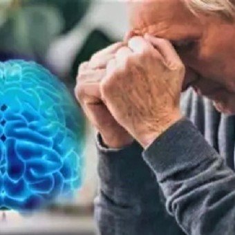 La fruta superalimento que puede activar el cerebro en cuatro días