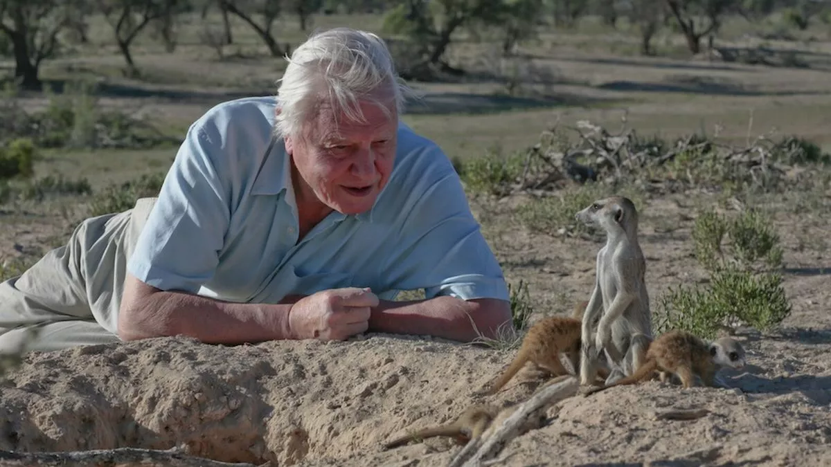 TV tonight: David Attenborough’s skin-crawling new nature series