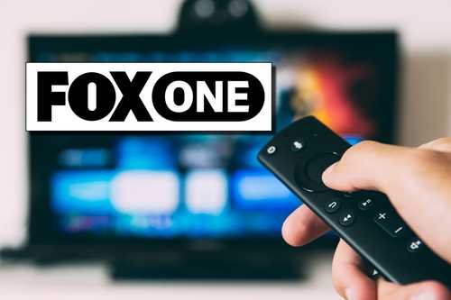 Fox One Streaming Service to Launch in Time for NFL Season