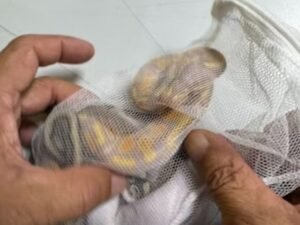 Imagen destacada de noticia