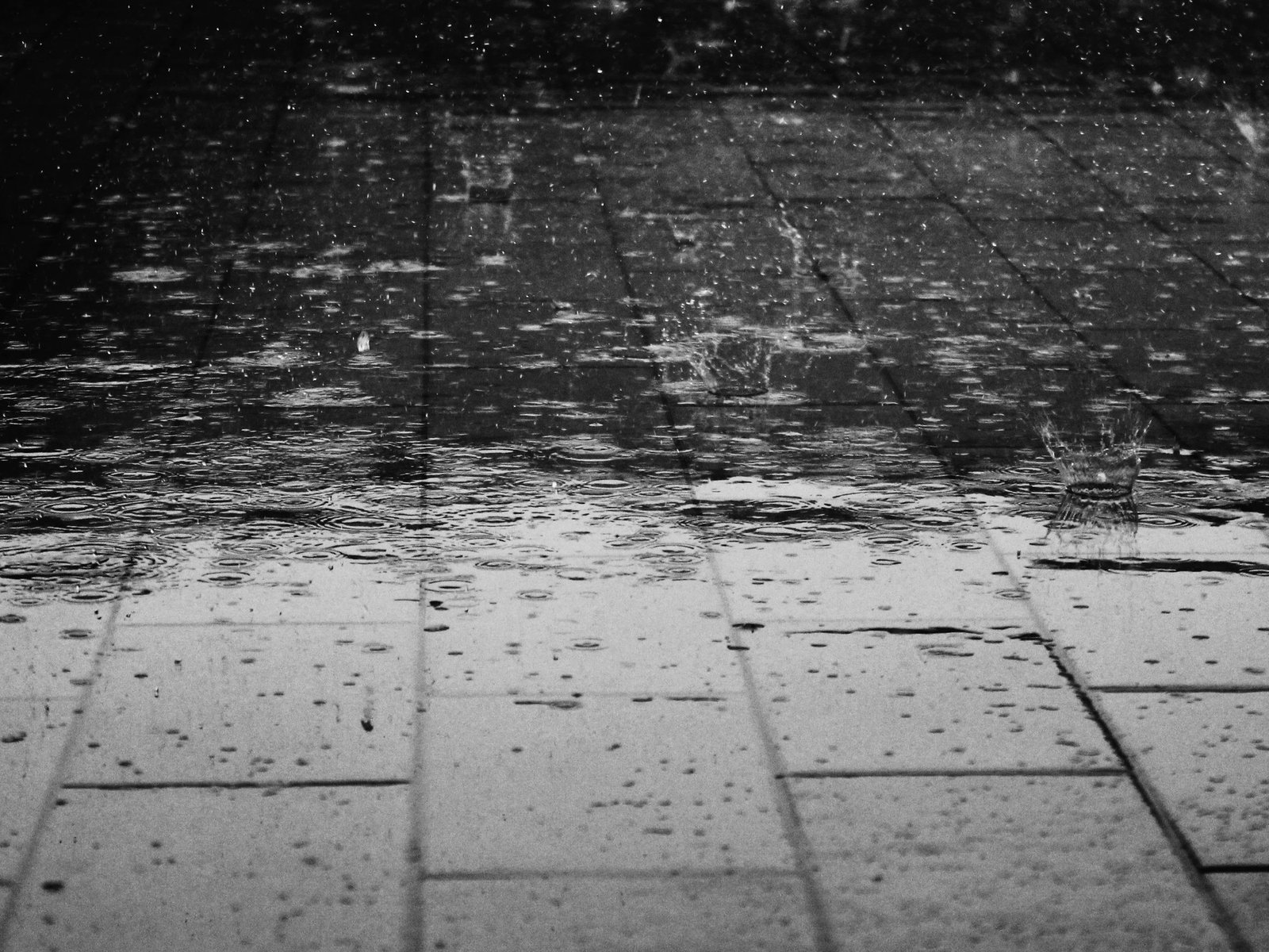 Un domingo gélido en la costa patagónica Este domingo 3 de agosto, Comodoro Rivadavia se prepara para recibir un clima c... Descubre más sobre acompañada, co...