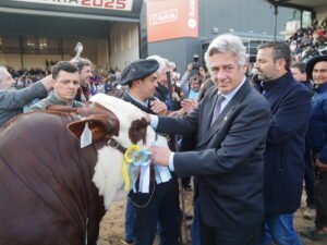 Imagen destacada de noticia