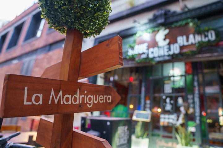 La entrada. Sigue al conejo blanco propone una aventura los fines de semana.