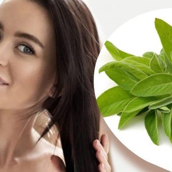 Salvia sabia: las múltiples propiedades curativas de esta hierba aromática