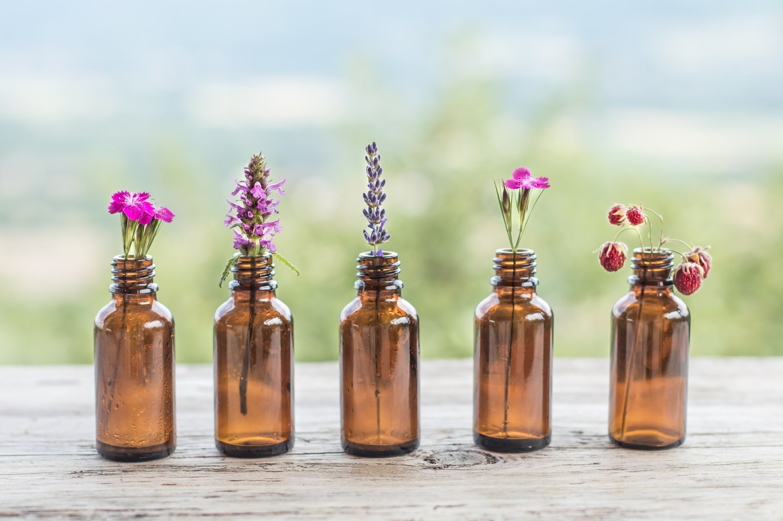 la lavanda y el eucalipto se destacan por sus propiedades terapéuticas: una por su efecto sedante, y la otra por su acción descongestiva. /Shutterstock