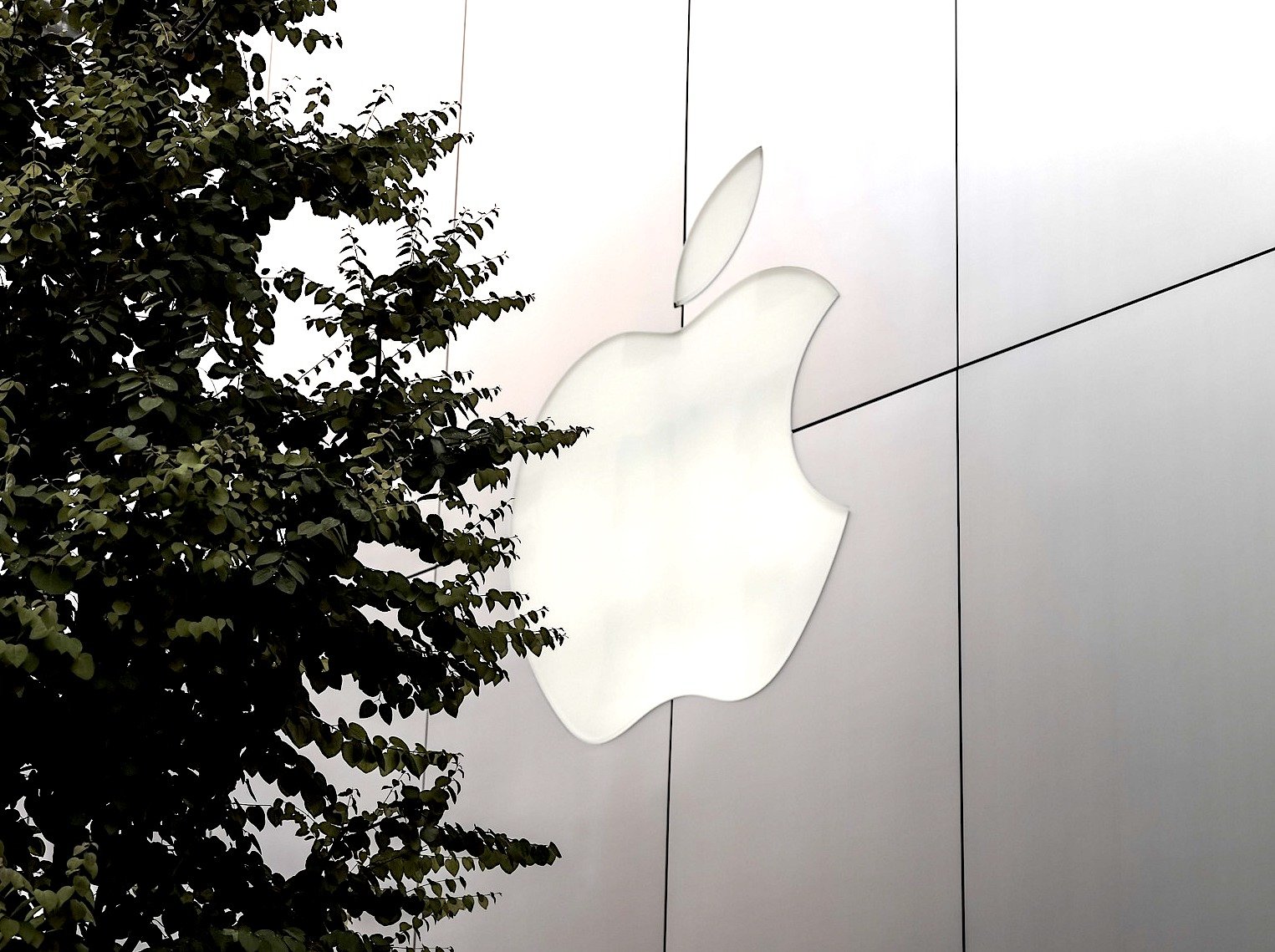 Apple trae GPT Parece que el texto que proporcionaste está incompleto o no es claro. Si podés darme más contexto o el texto completo que querés traducir, estaré encantado de ayudarte.