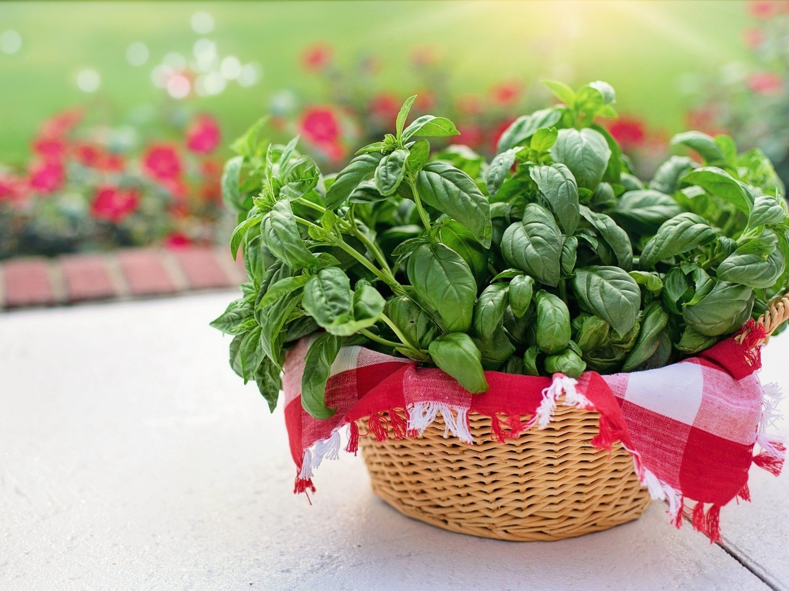 Una joya de la naturaleza: la albahaca y sus sorprendentes virtudes En los últimos años, el interés por lo natural y lo ... Descubre más sobre química, inter...